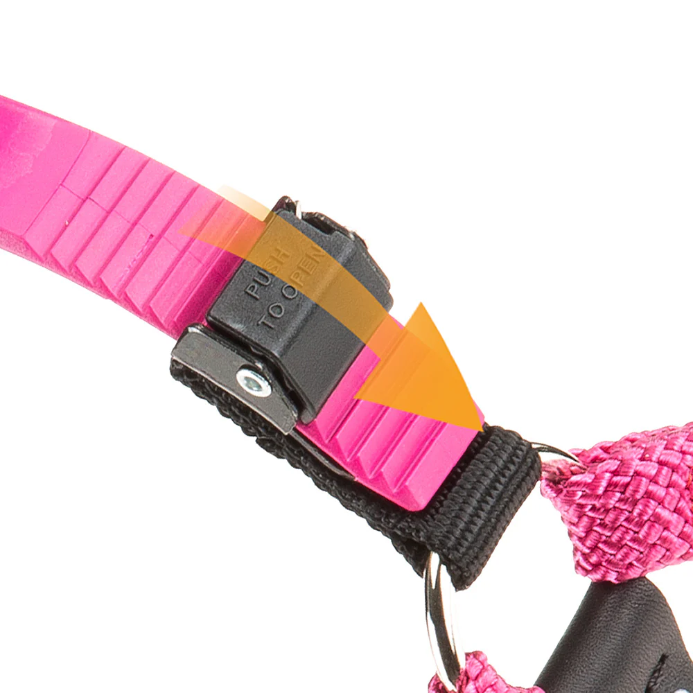 AGILA SPORT - Image 5