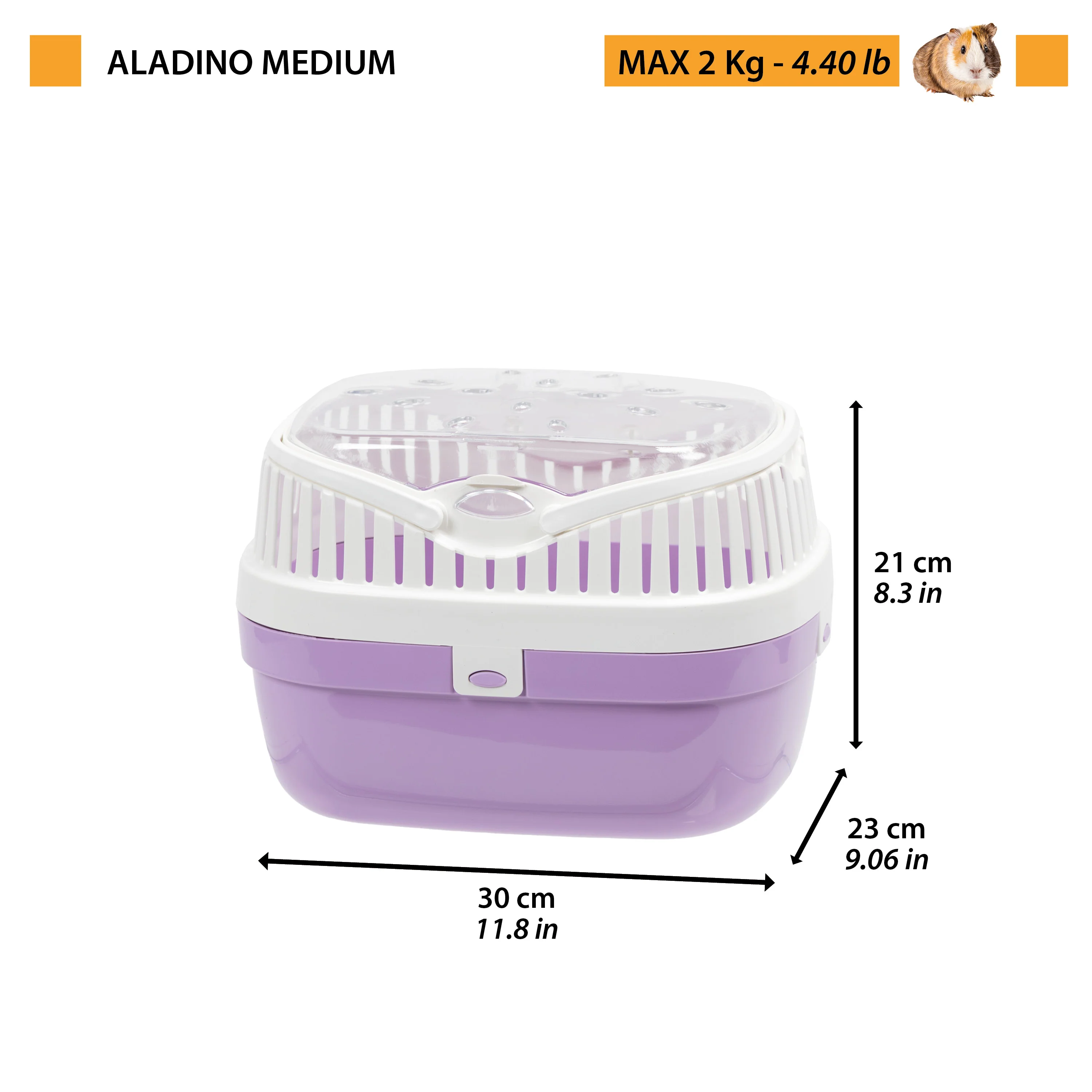 ALADINO MEDIUM - Image 2