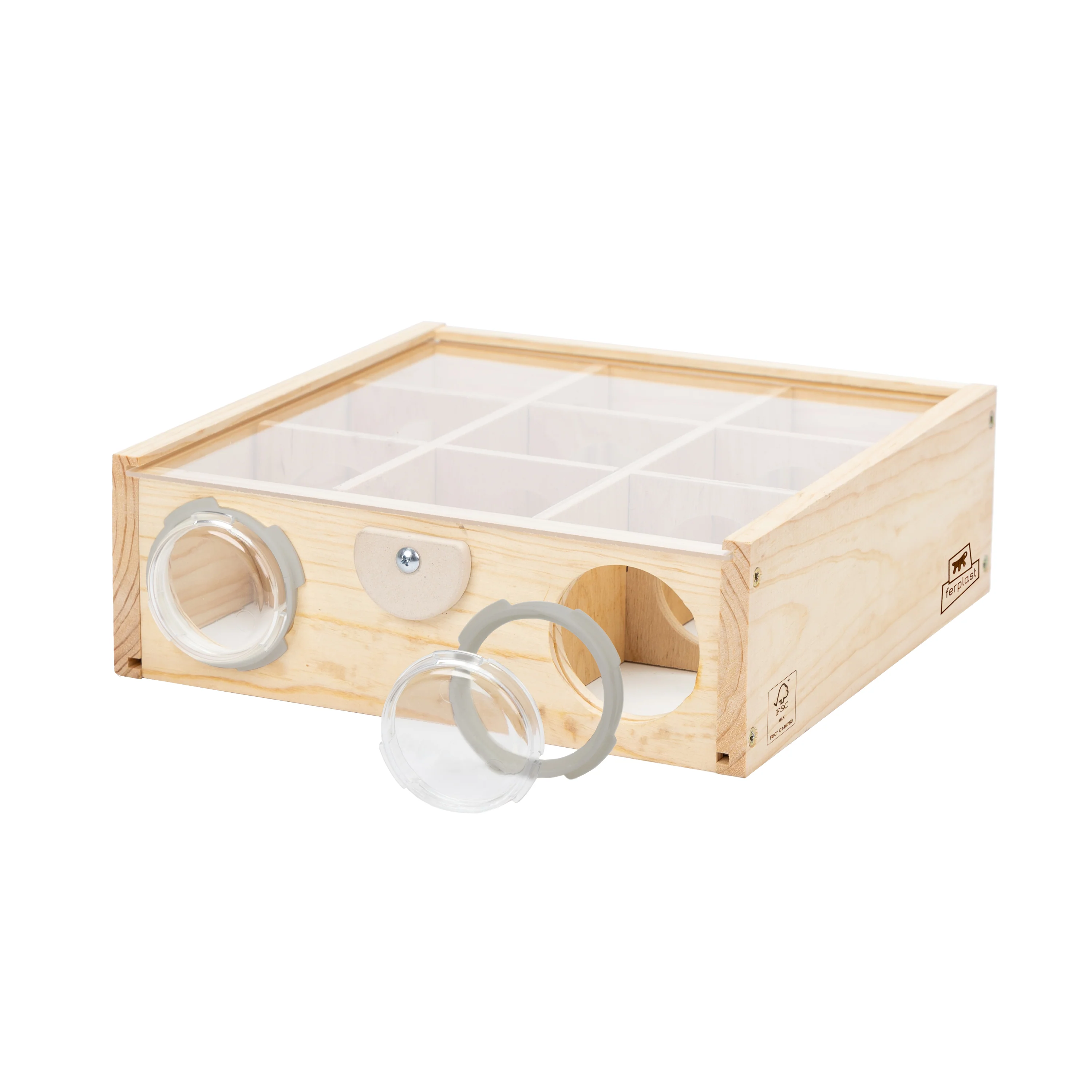 ARCADE DEDALUS Gioco in legno per cricet - Image 6