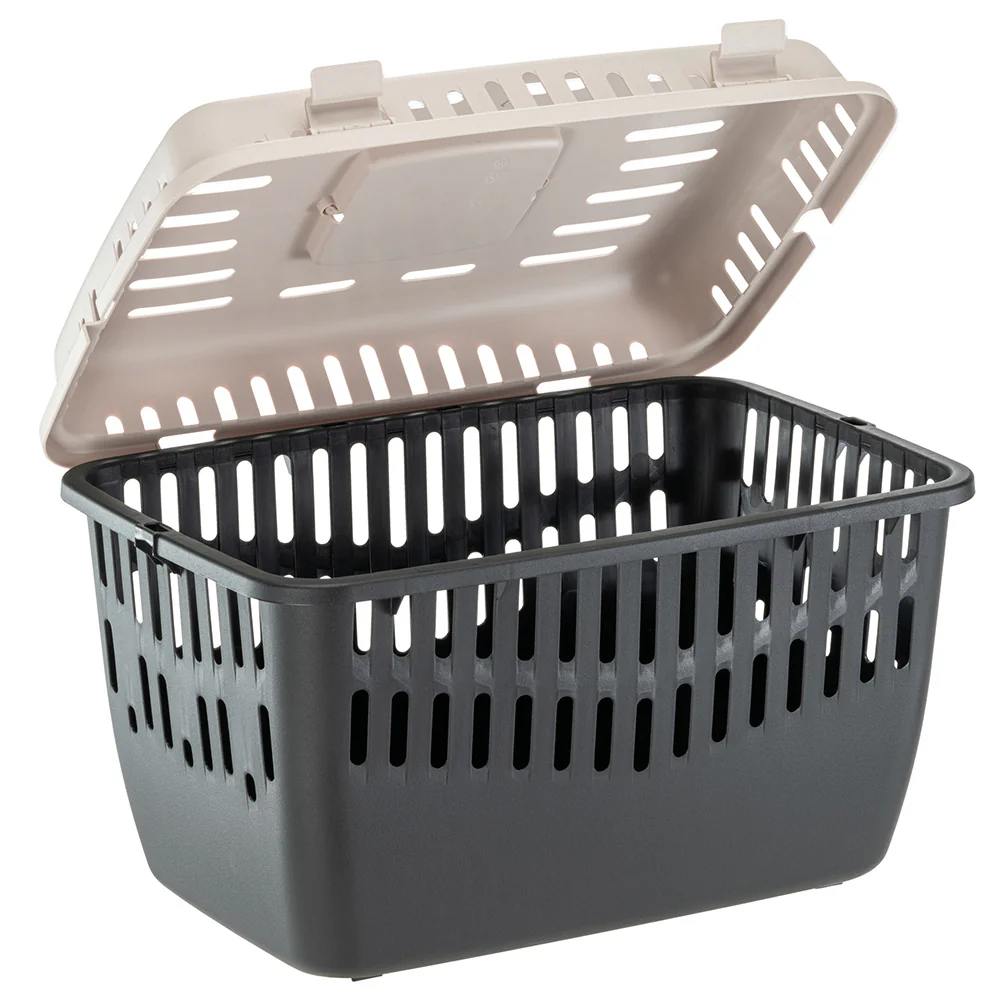 BINNY 2 - Image 2