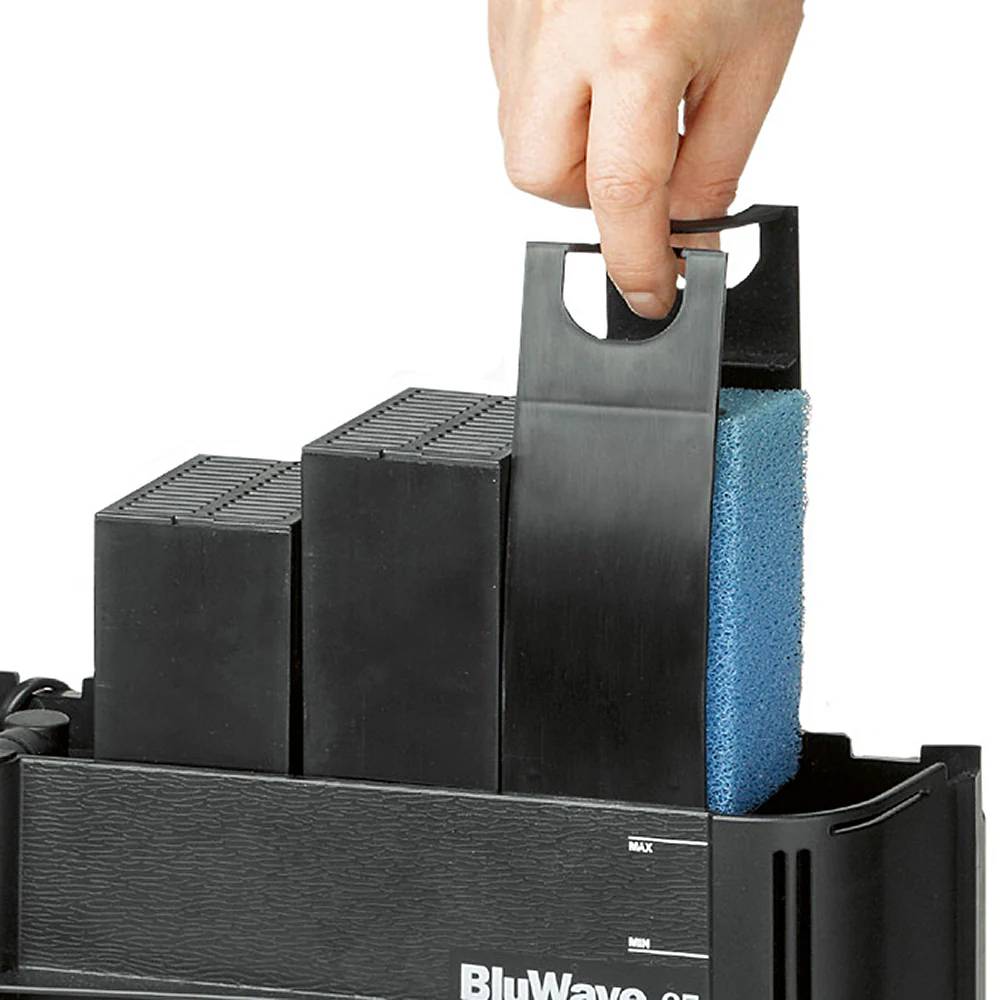 BLUWAVE 05 - Image 5