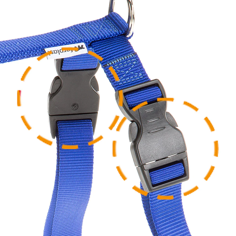 CHAMPION P - Image 11