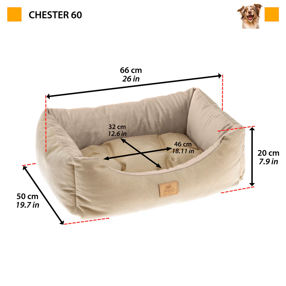 CHESTER - Image 8