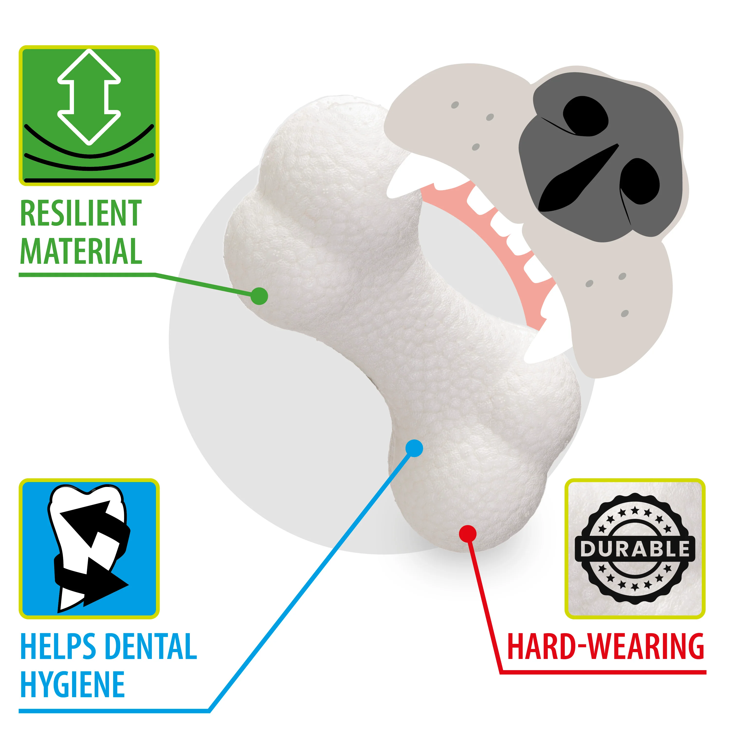 CHEWA BOING BONE - Image 4