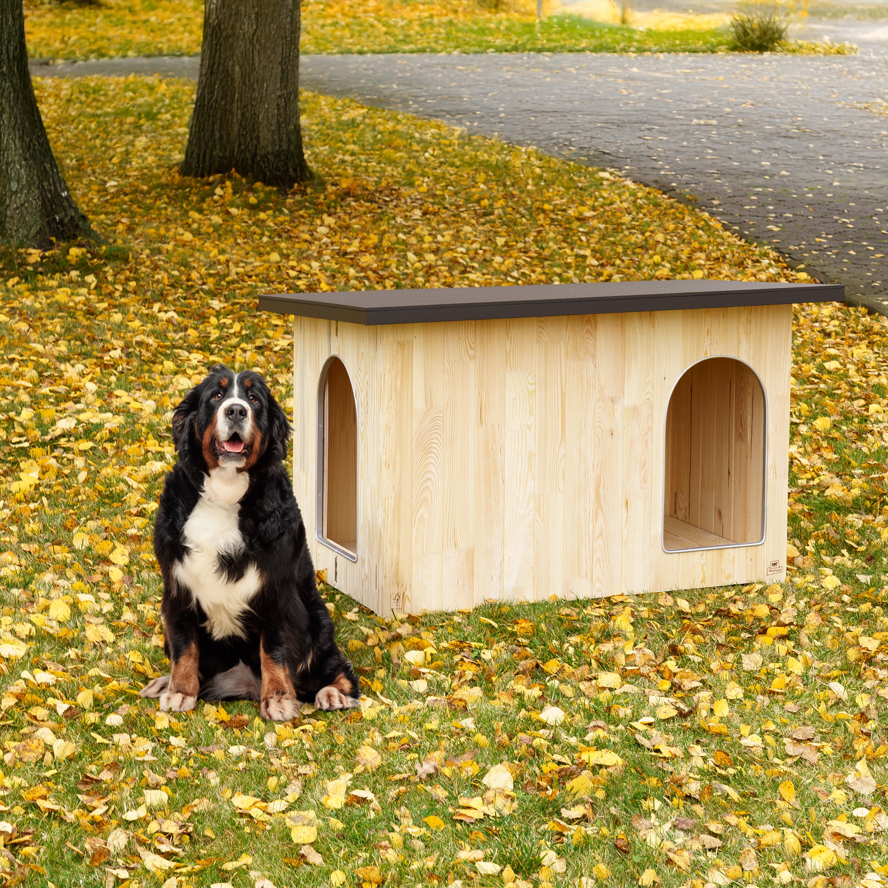 CLICKO cuccia in legno per cani - Image 20