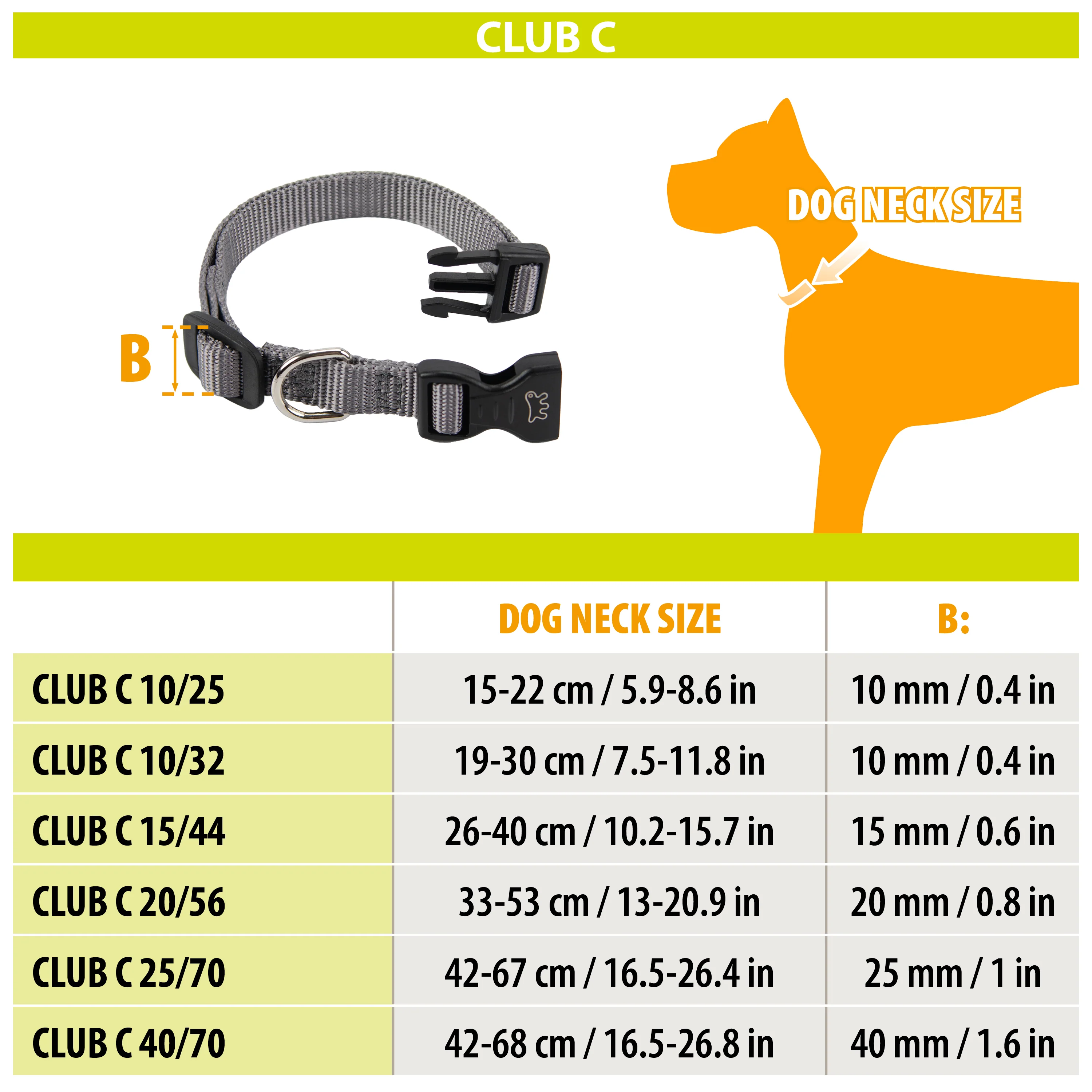 CLUB C - Image 8