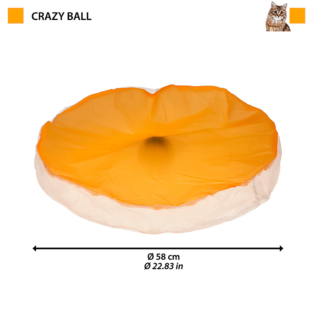 CRAZY BALL - Image 2