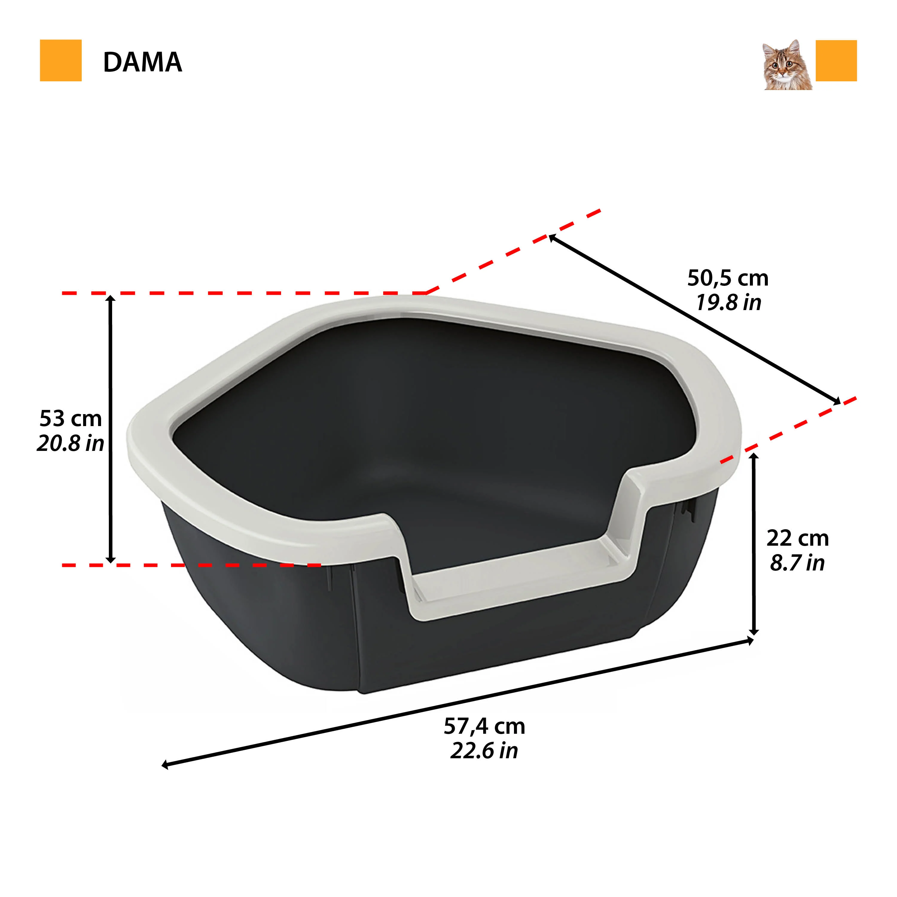 DAMA - Image 2
