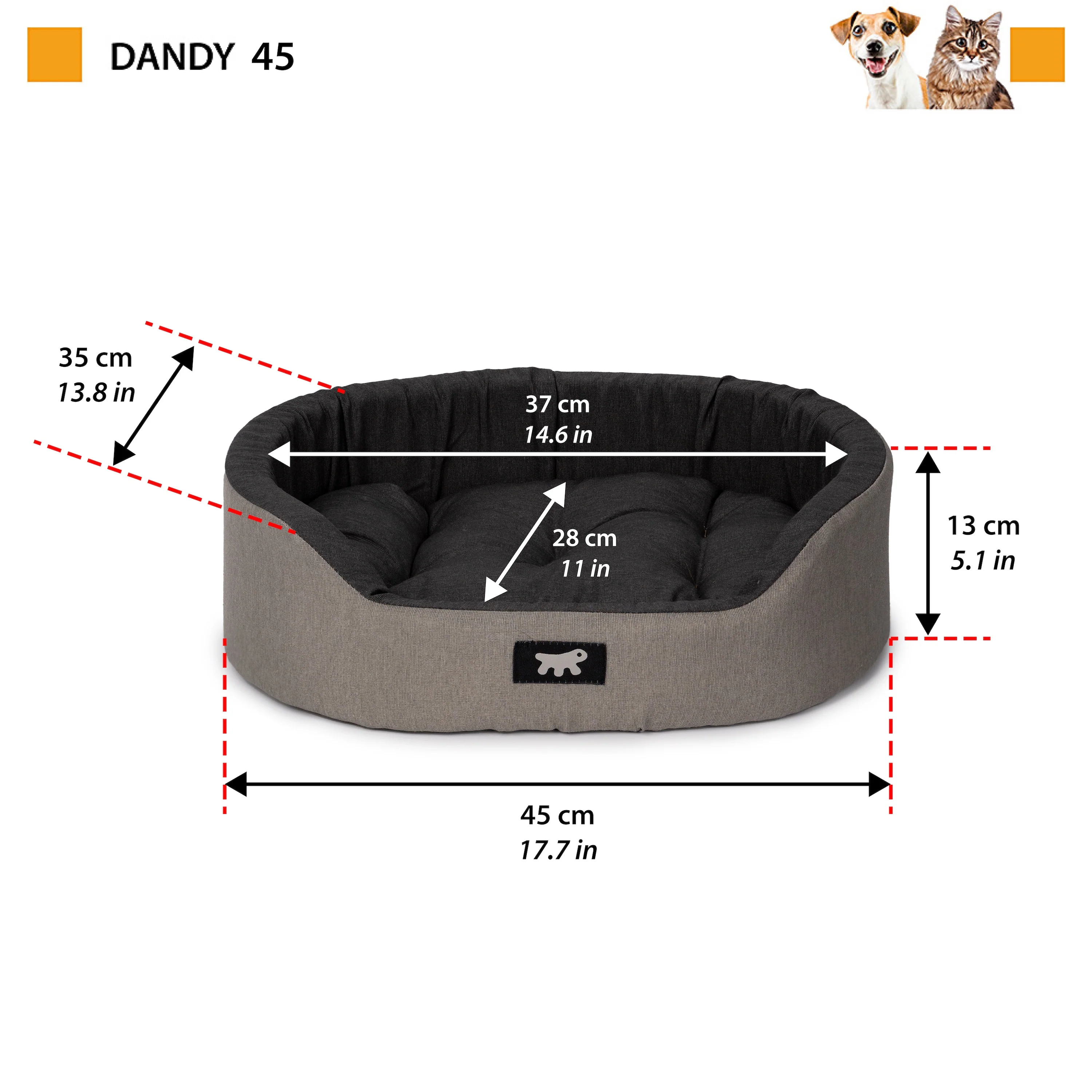 DANDY C COLOUR - Image 2