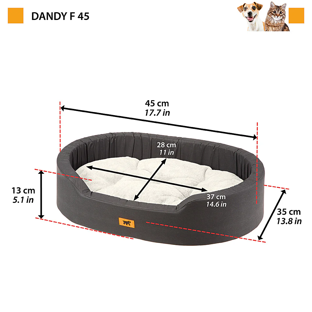 DANDY F - Image 2