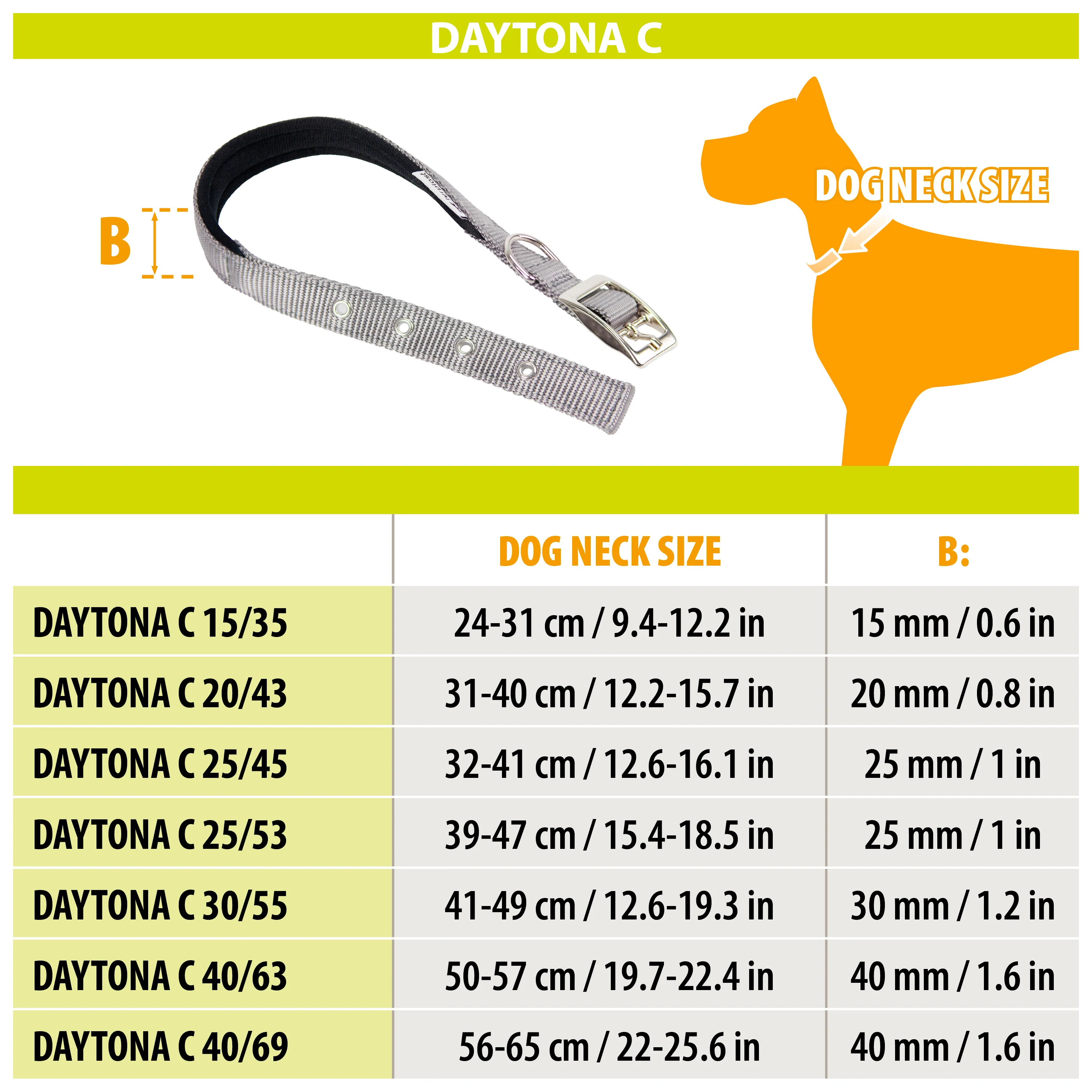 DAYTONA C - Image 2