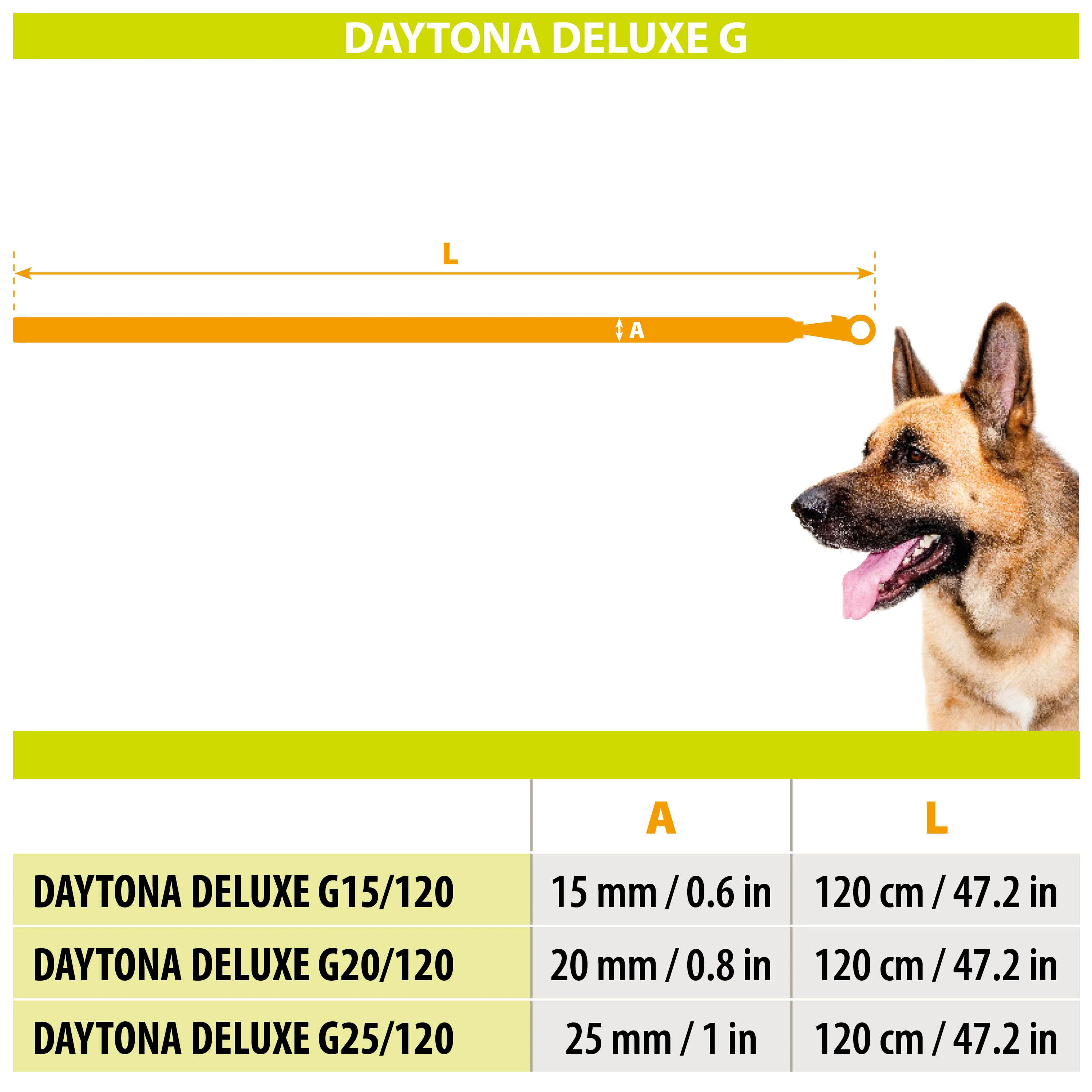 DAYTONA DELUXE G - Image 2