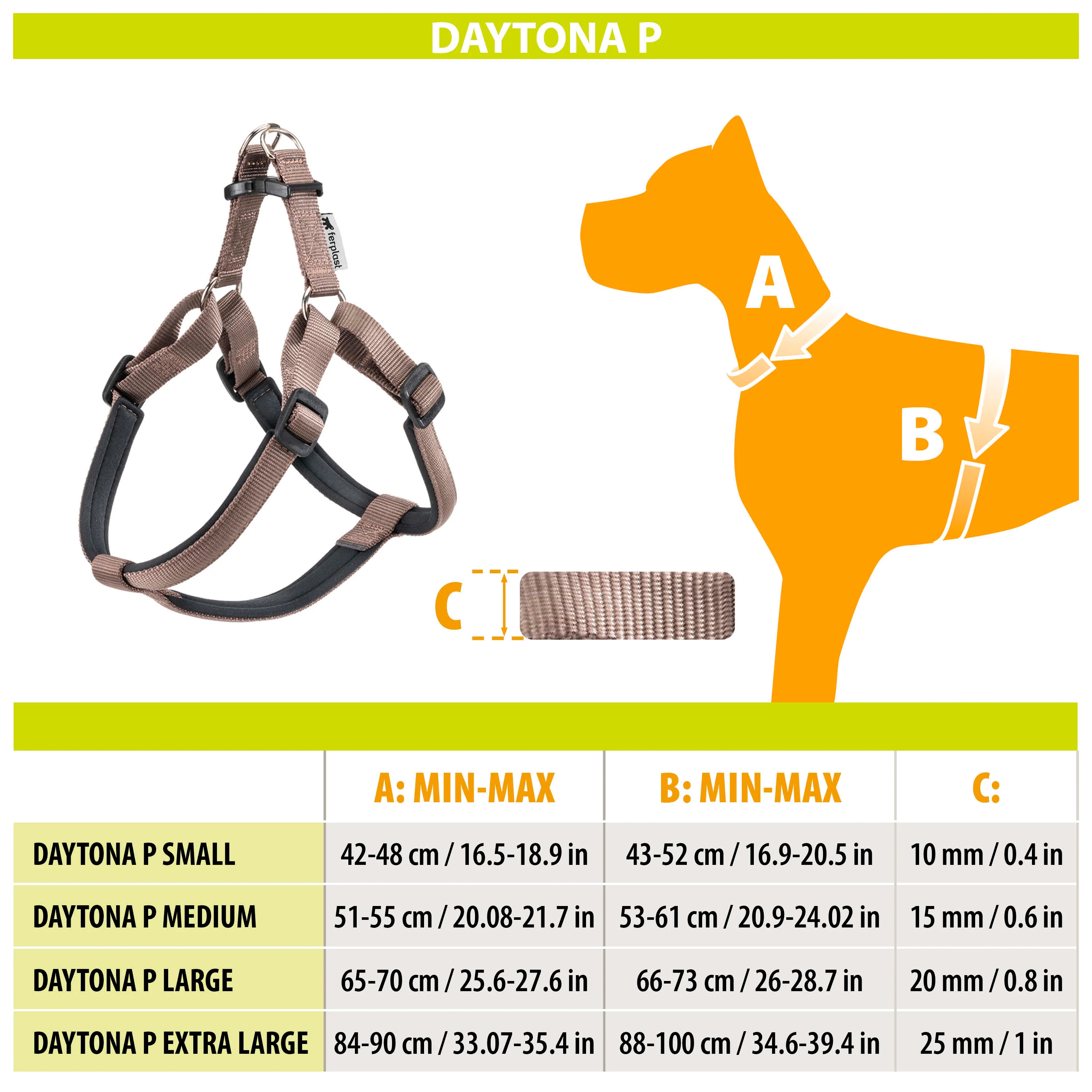 DAYTONA P - Image 2