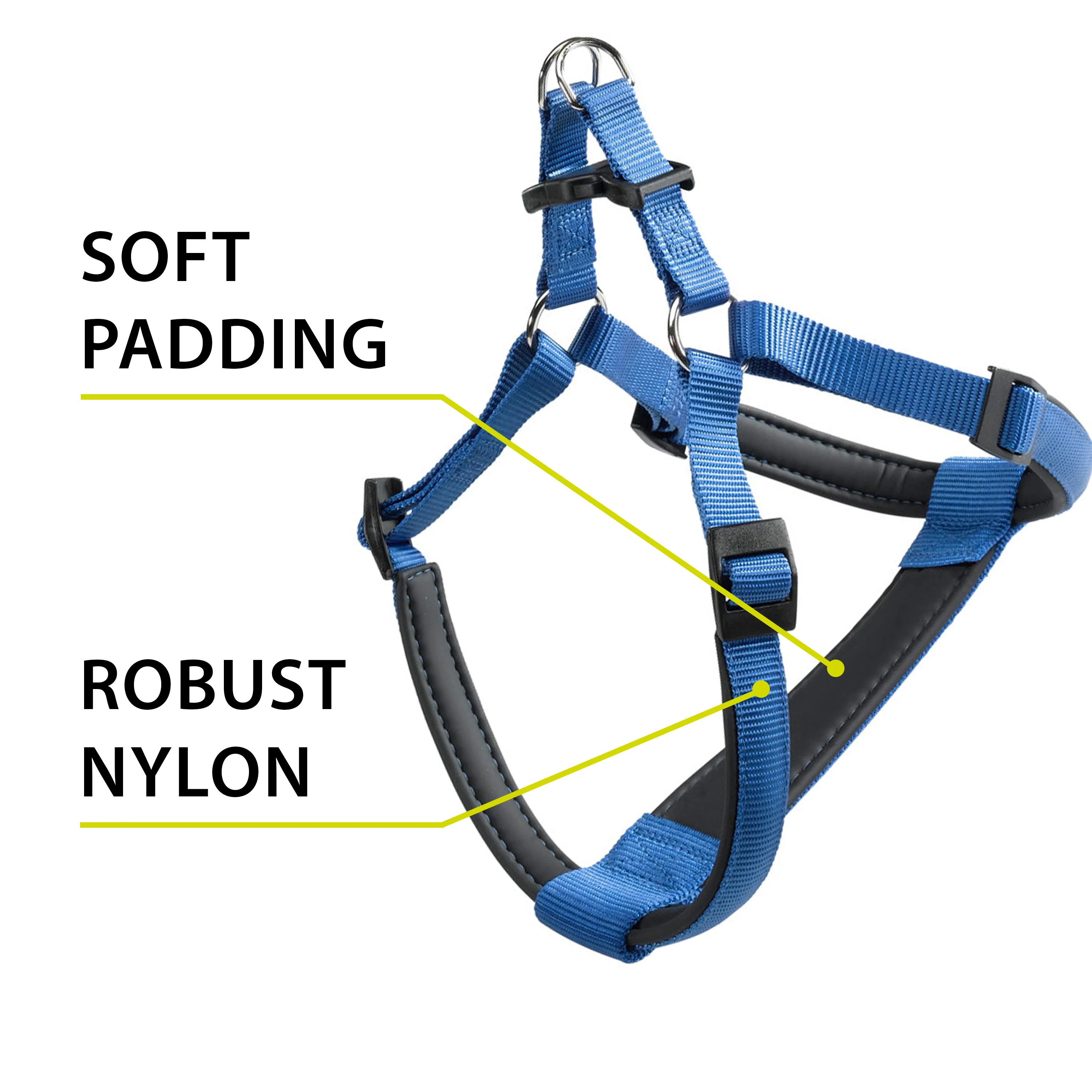 DAYTONA P - Image 63