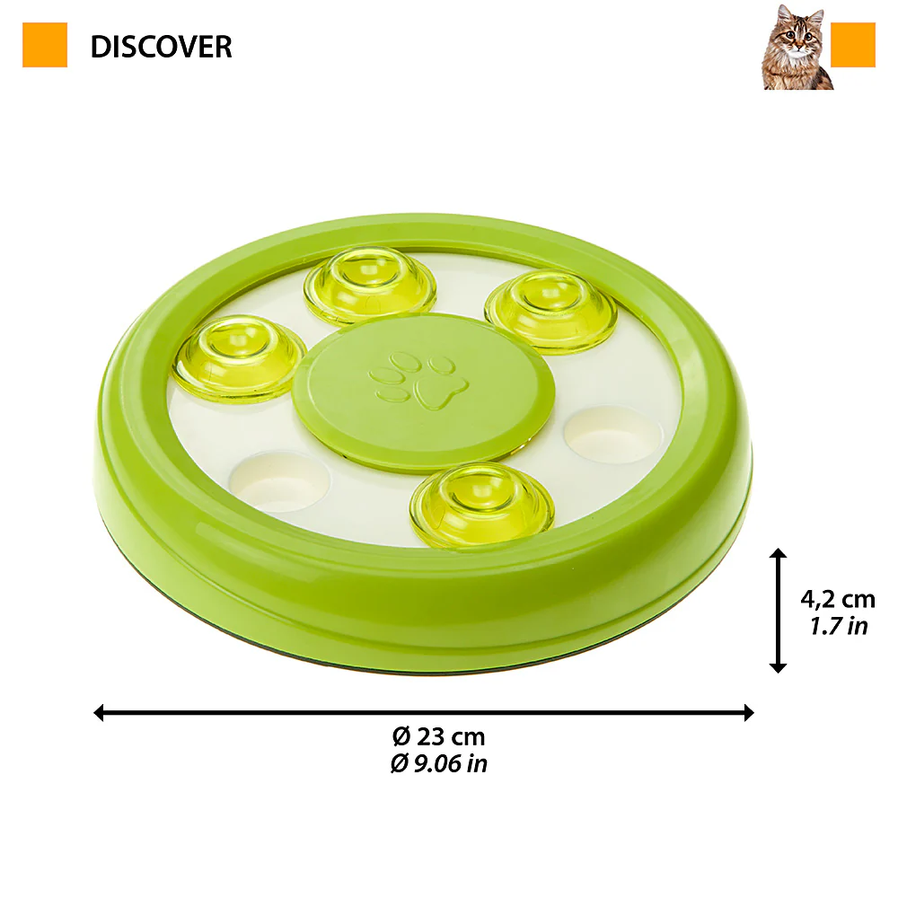 DISCOVER - Image 2