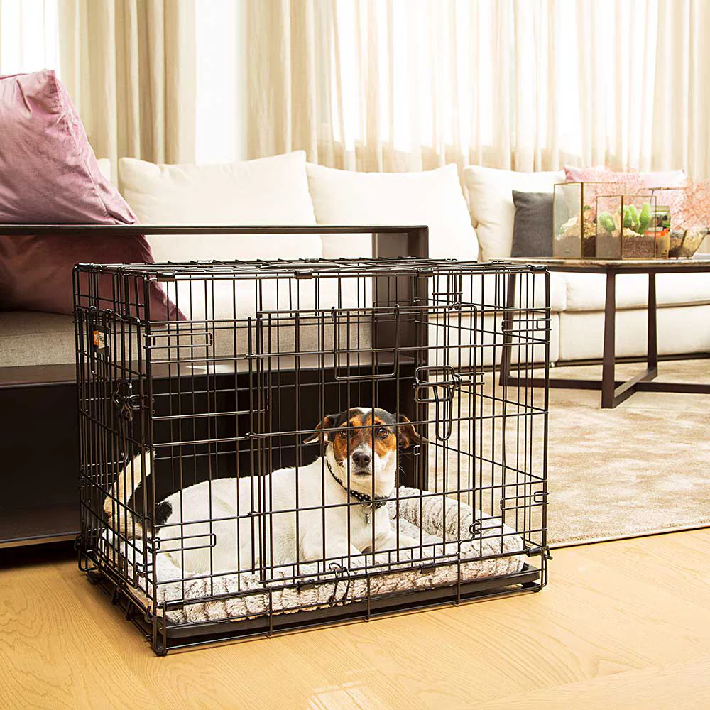 DOG-INN - Image 3