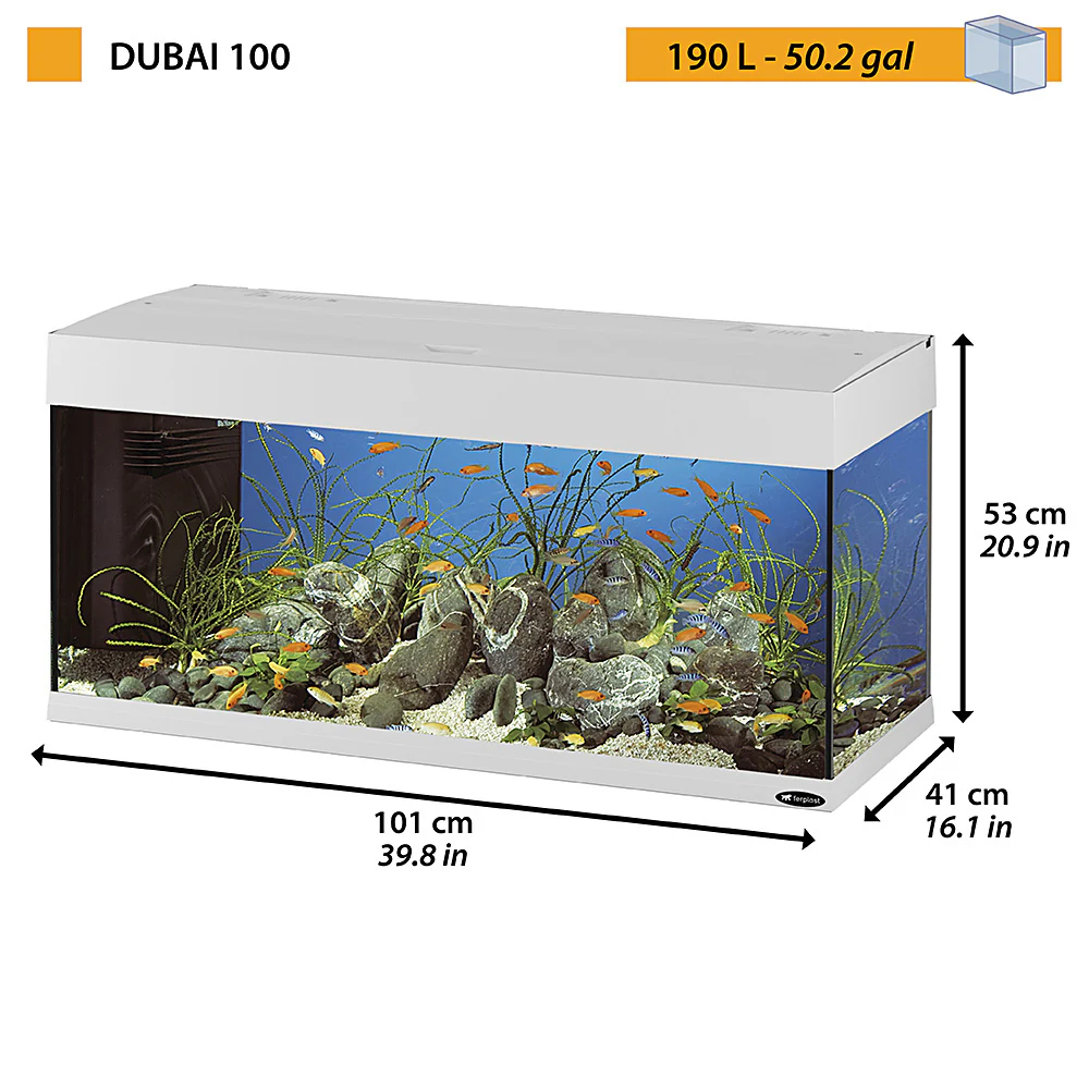 DUBAI 100 LED - 190 L - Image 2