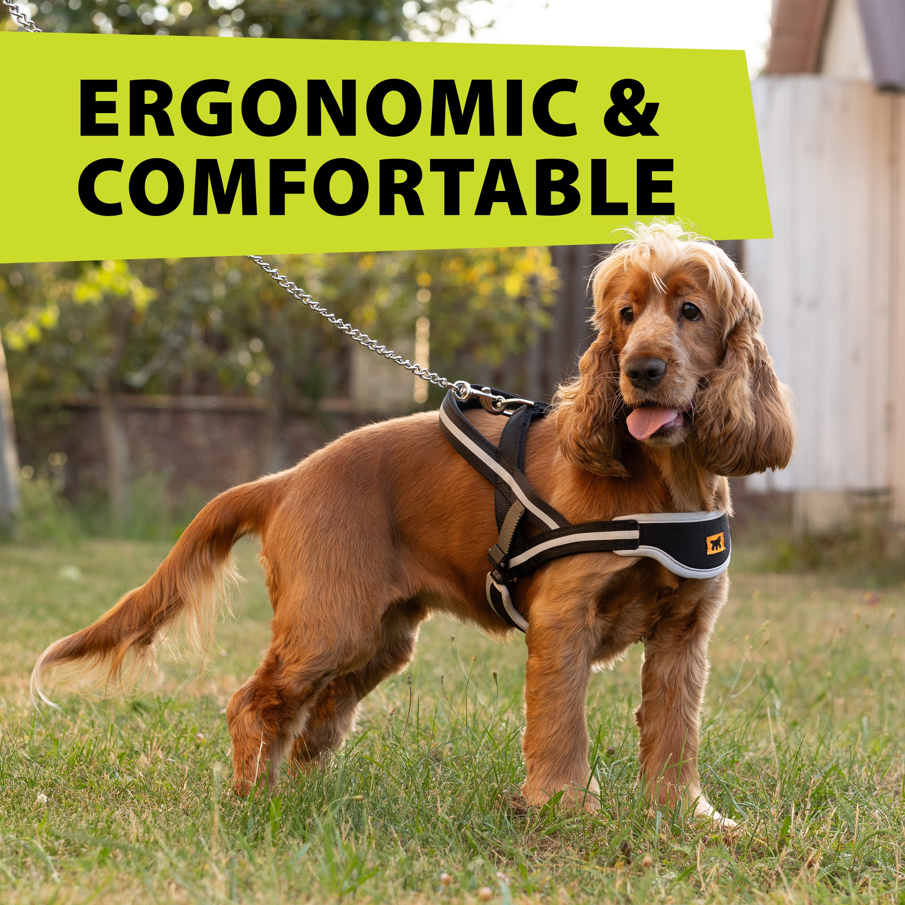 ERGOCOMFORT NORDIC - Image 5