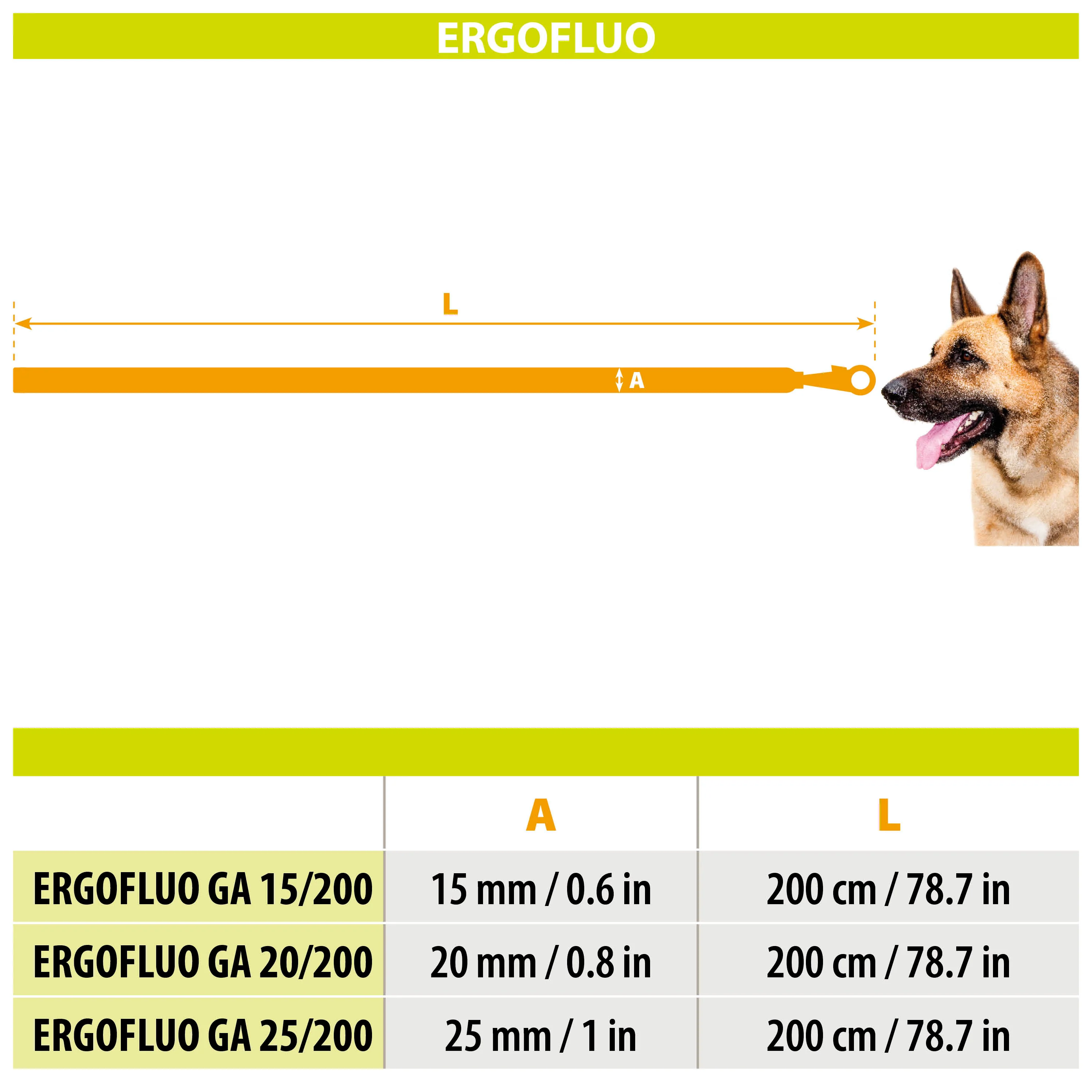ERGOFLUO GA - Image 2