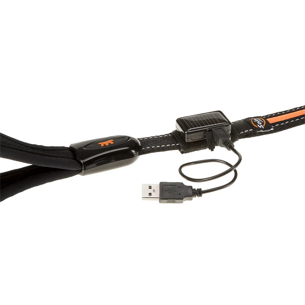 ERGOLED G - Image 8