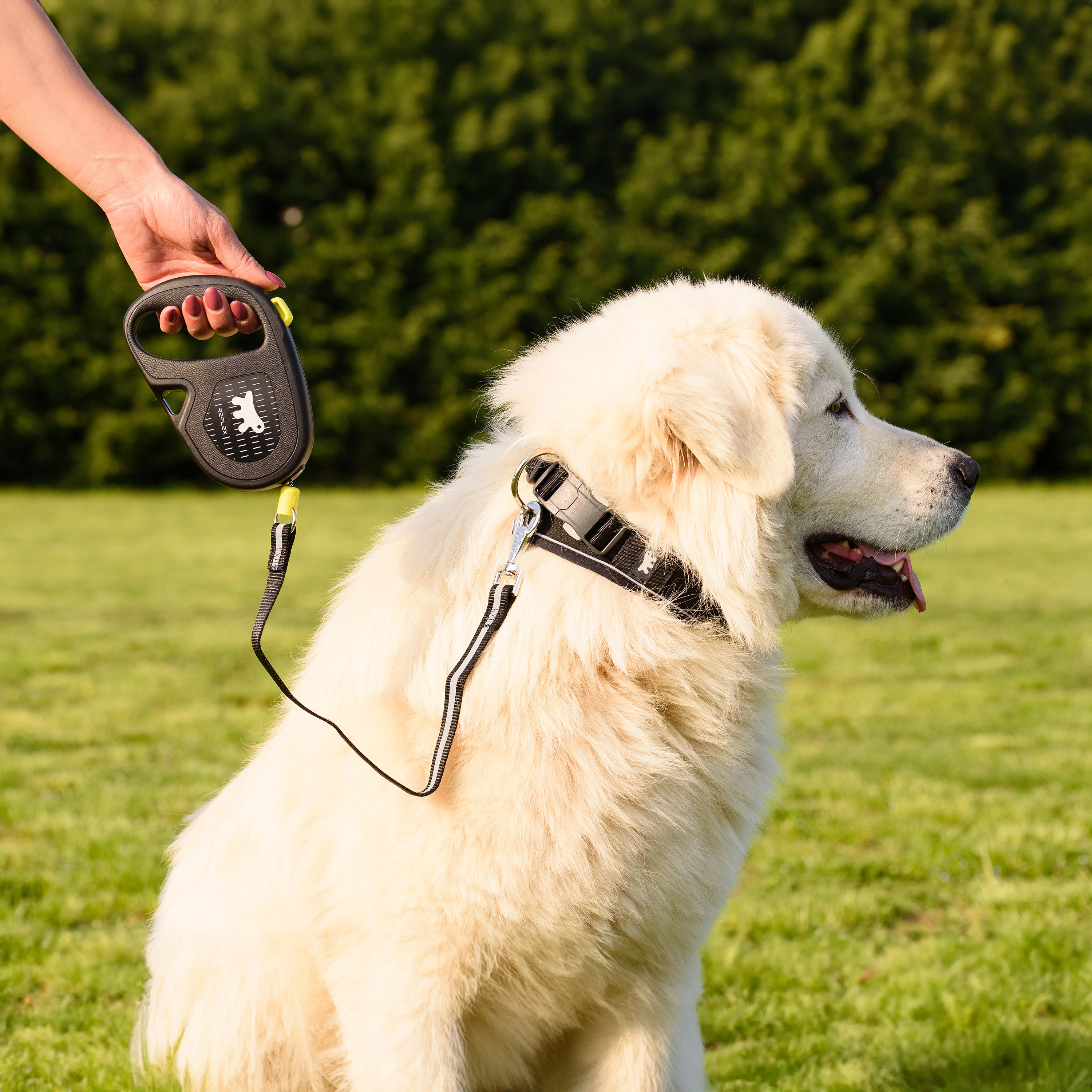 FLIPPY ONE REFLEX CORD - Image 50