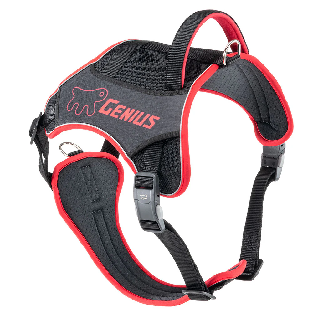 GENIUS P - Image 40