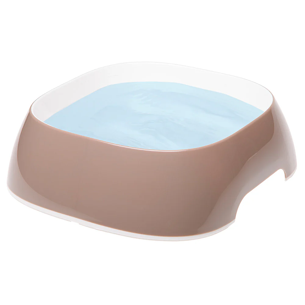 GLAM - Image 16