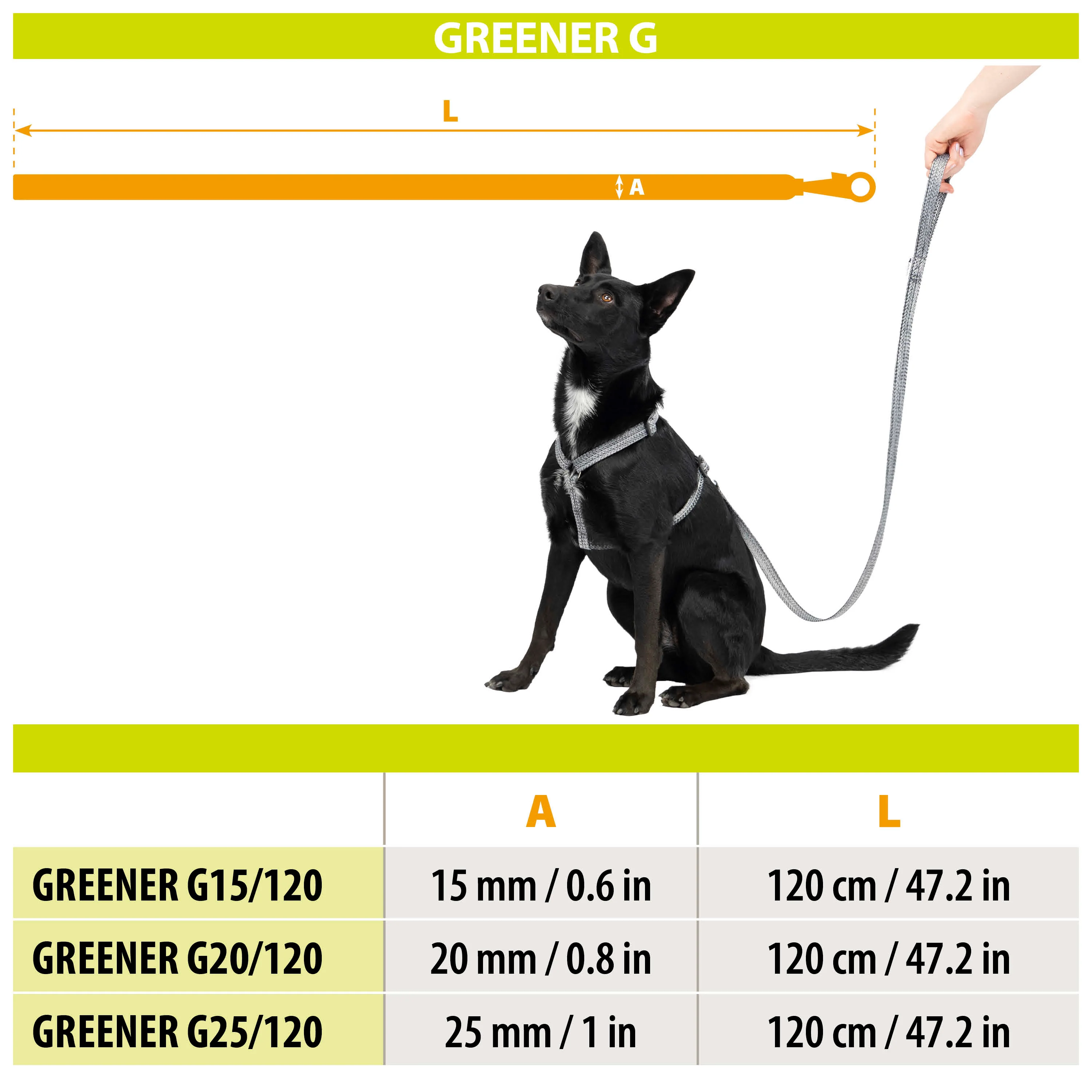 GREENER G - Image 2