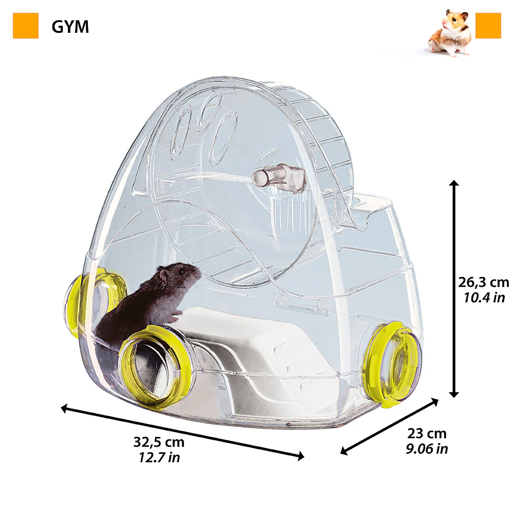 GYM - Image 2