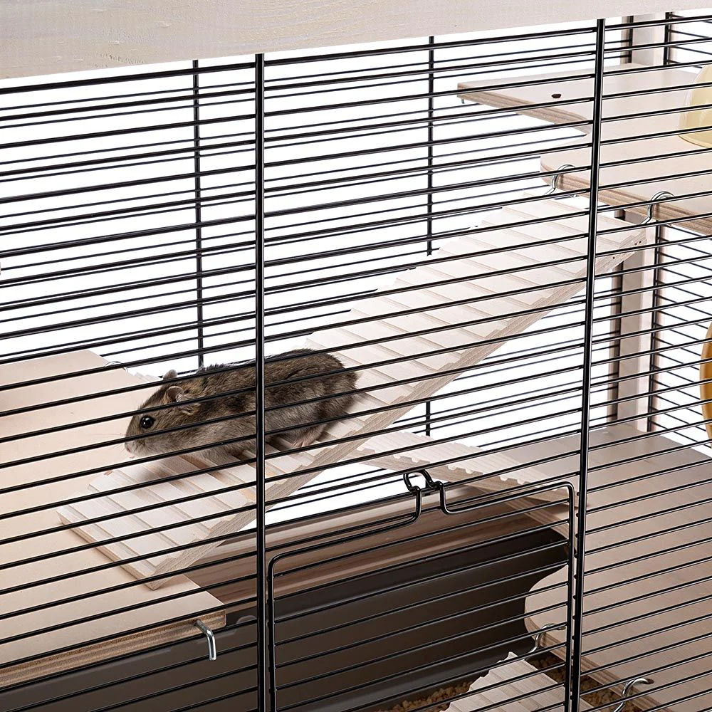 HAMSTERVILLE - Image 9