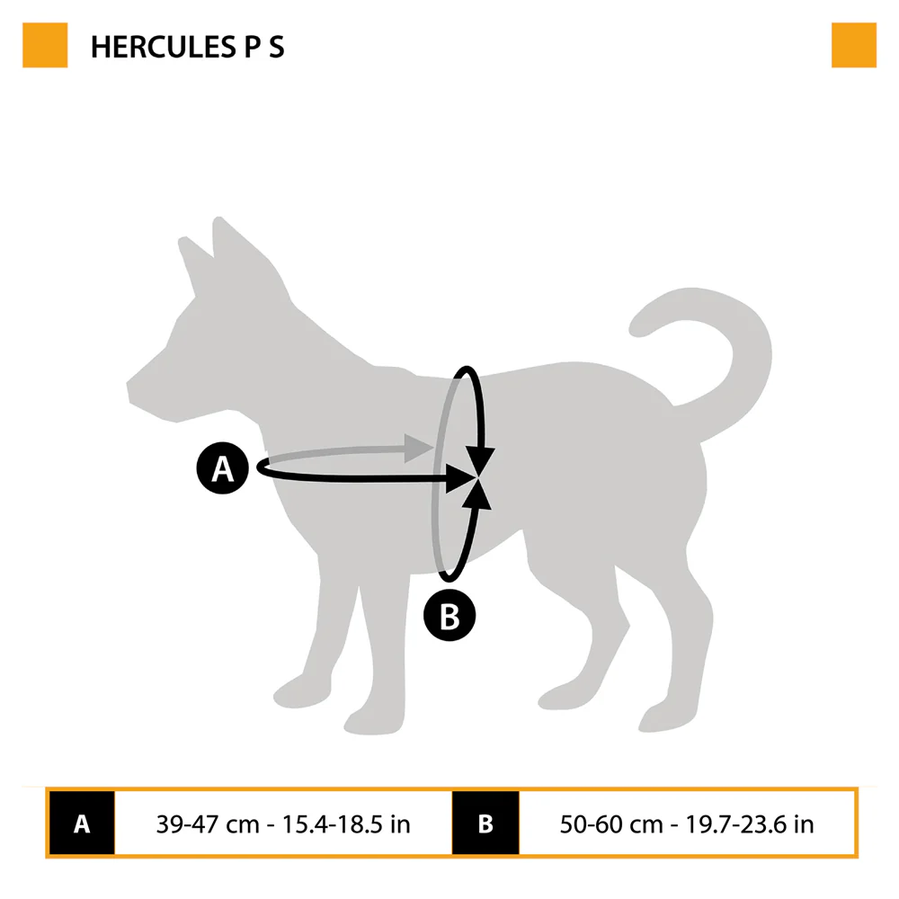 HERCULES P S - Image 2