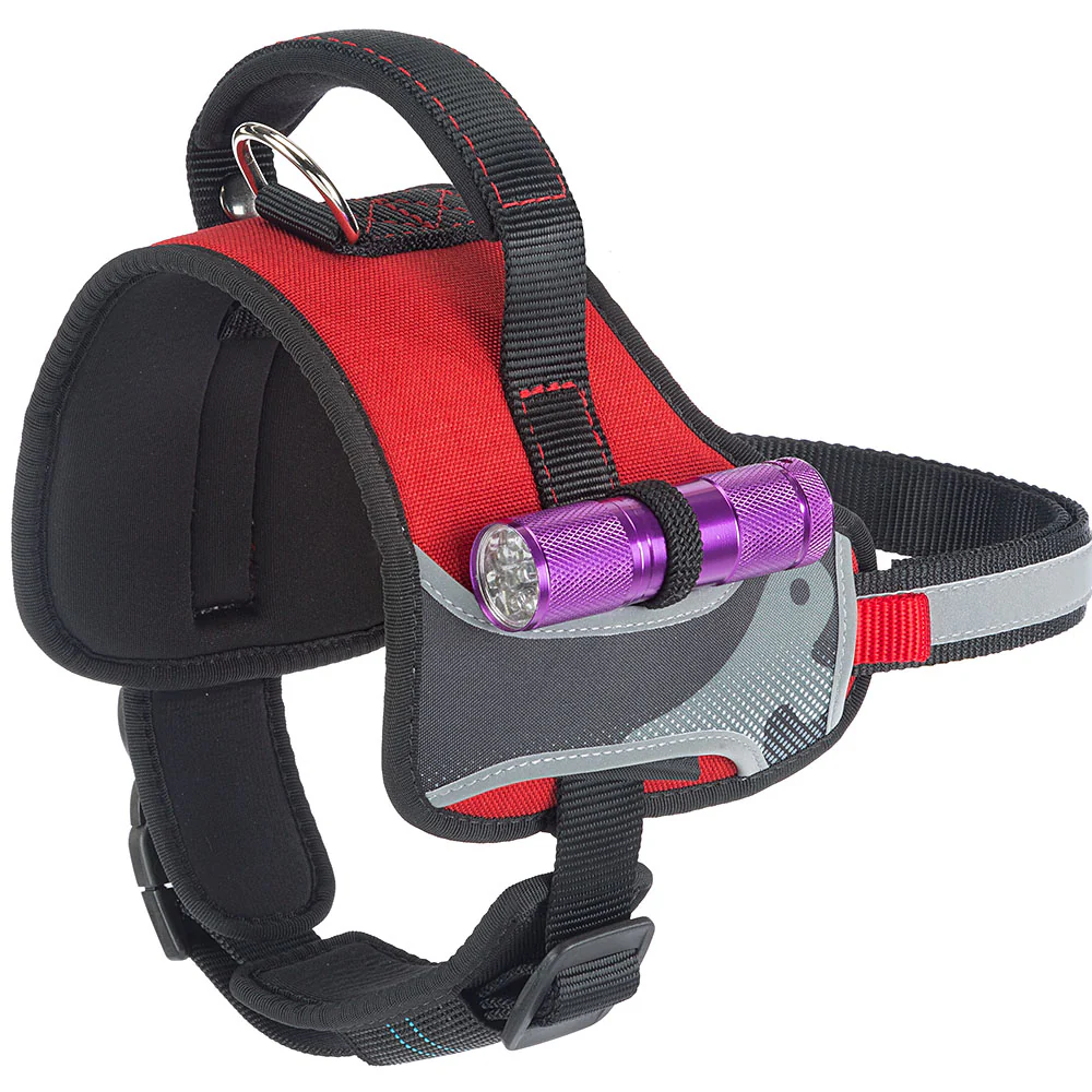 HERCULES P XS - Image 20