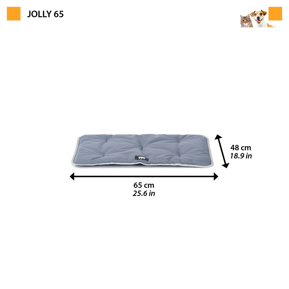 JOLLY - Image 21