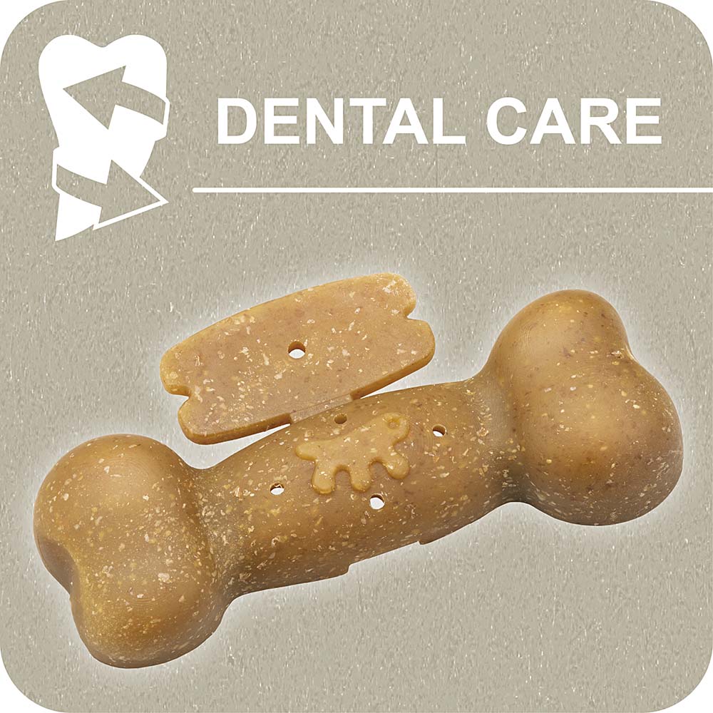 100% SNACK RIEMPIBILE - BONE EUGLENA - Image 2