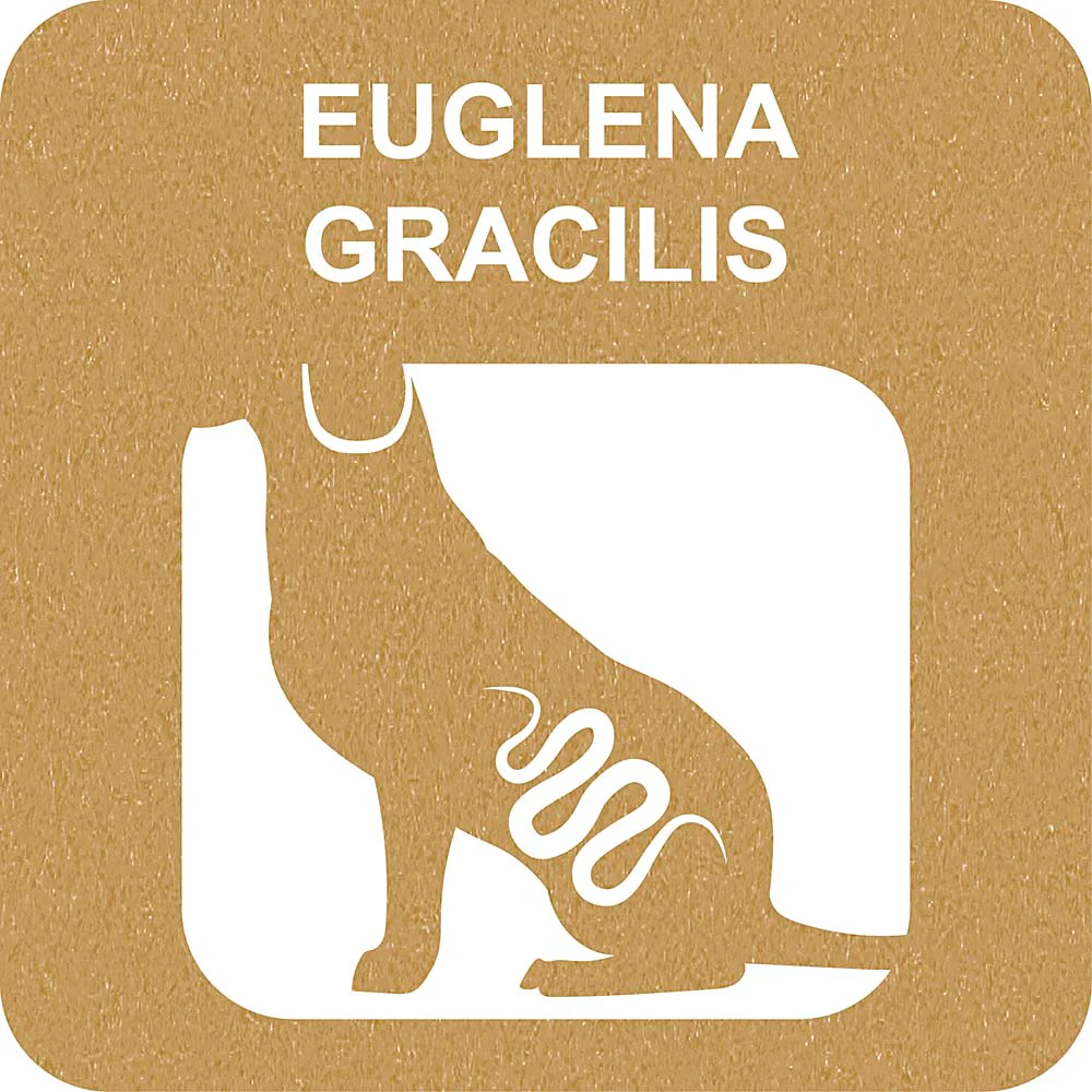 100% SNACK RIEMPIBILE - BONE EUGLENA - Image 3
