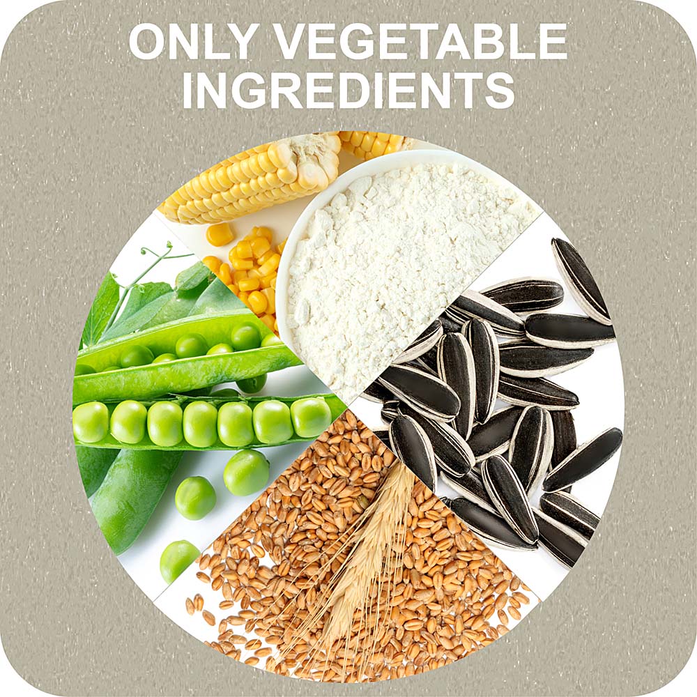 100% SNACK RIEMPIBILE - BONE EUGLENA - Image 5