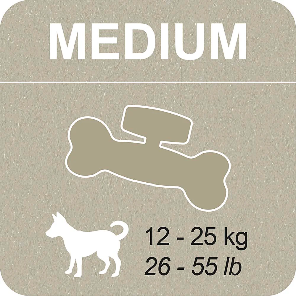 100% SNACK RIEMPIBILE - BONE EUGLENA - Image 6