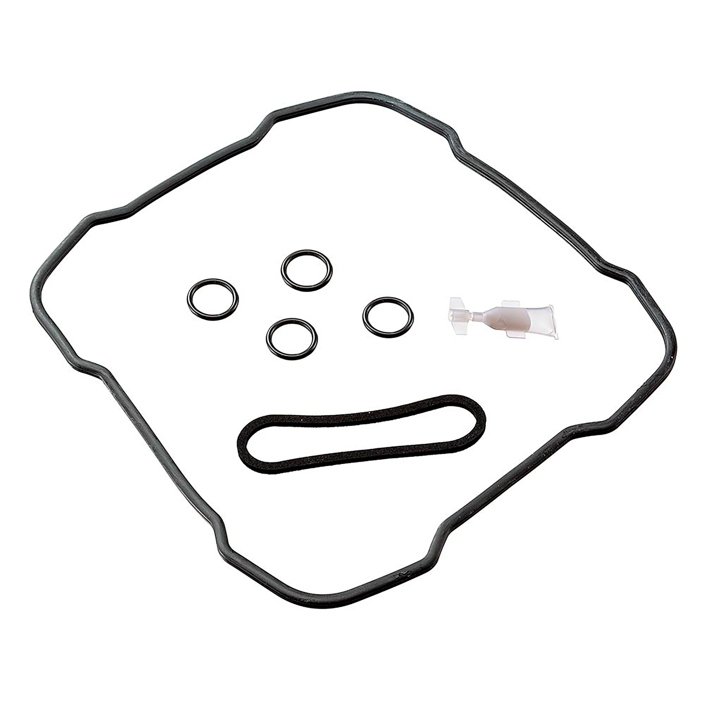 Guarnizioni Bluextreme