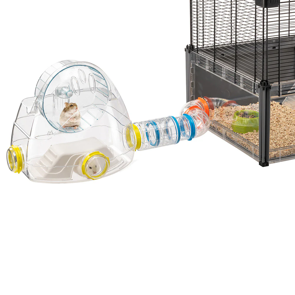 KIT GYM - Image 3