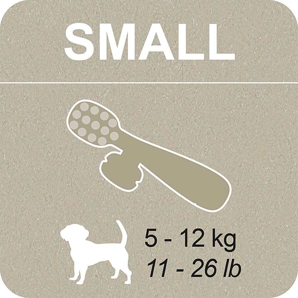 100% SNACK RIEMPIBILE - TOOTHBRUSH ASCOPHILLUM - Image 6