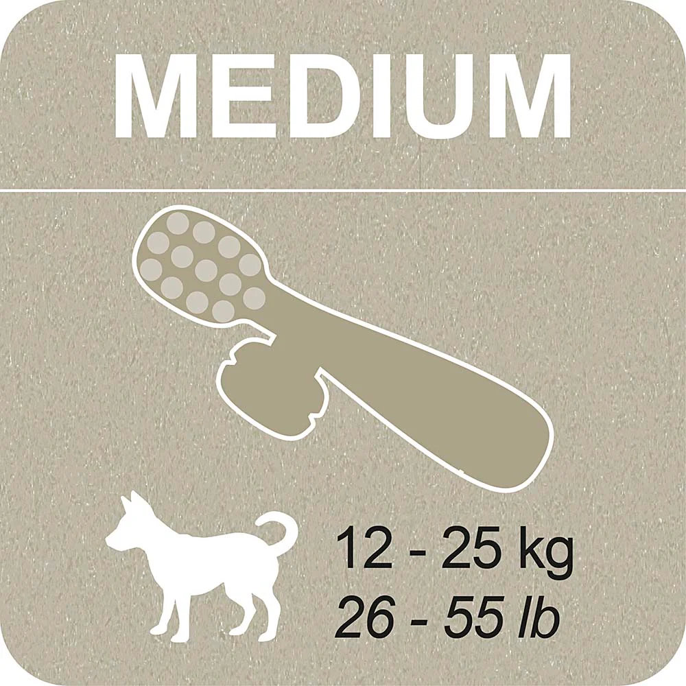 100% SNACK RIEMPIBILE - TOOTHBRUSH ASCOPHILLUM - Image 9