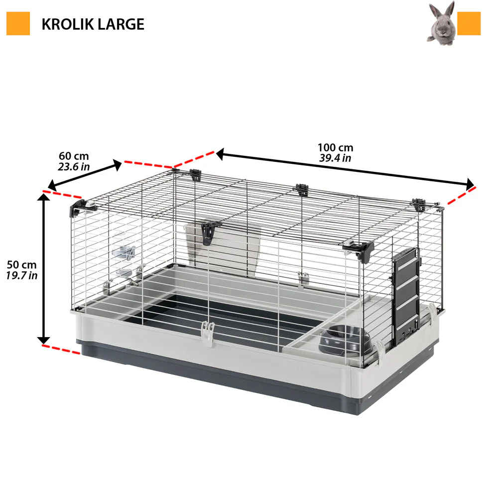 KROLIK - Image 2