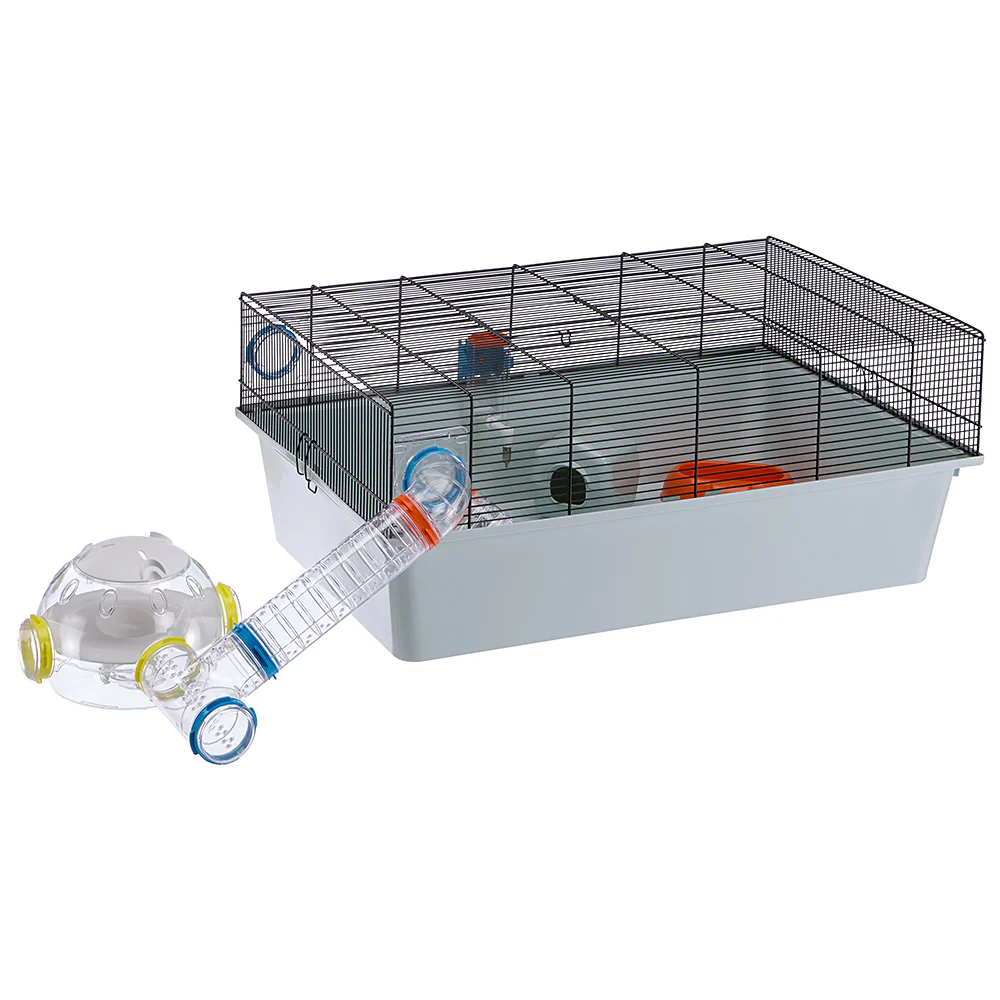 LAB - Image 10