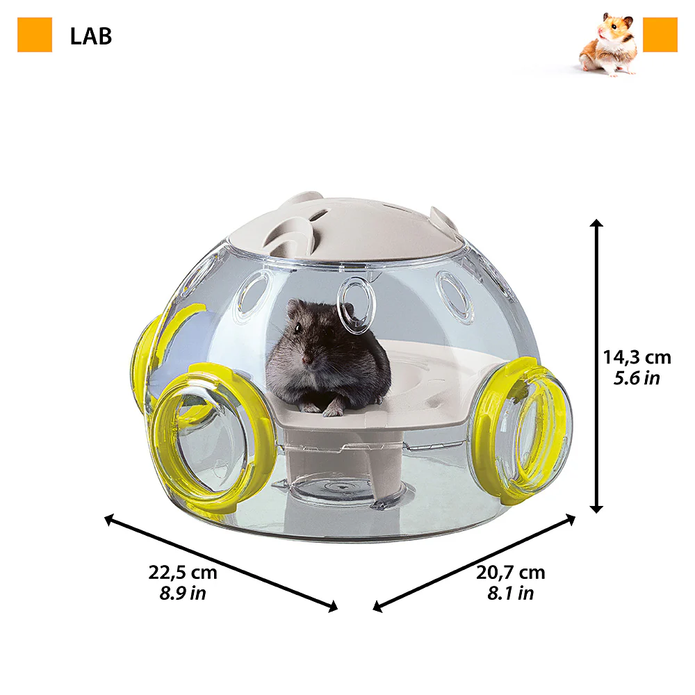 LAB - Image 2