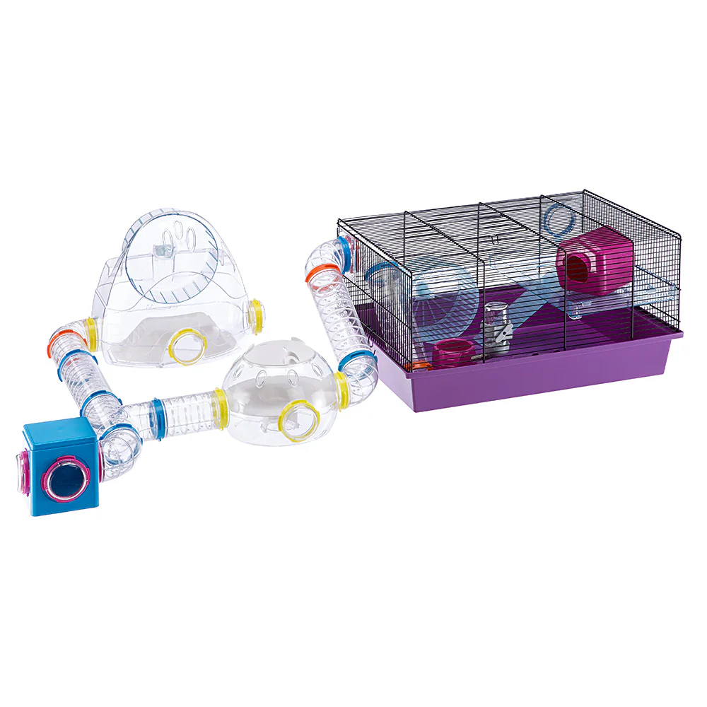 LAB - Image 3