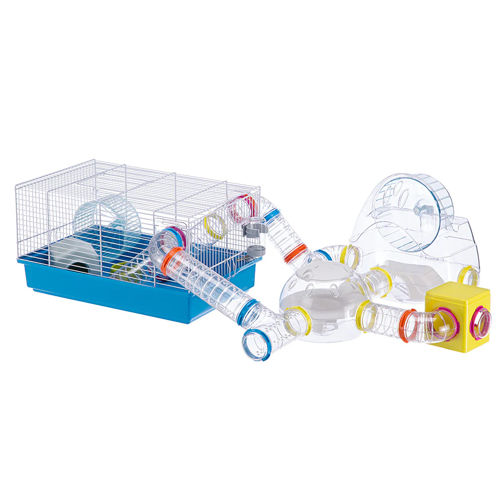 LAB - Image 7