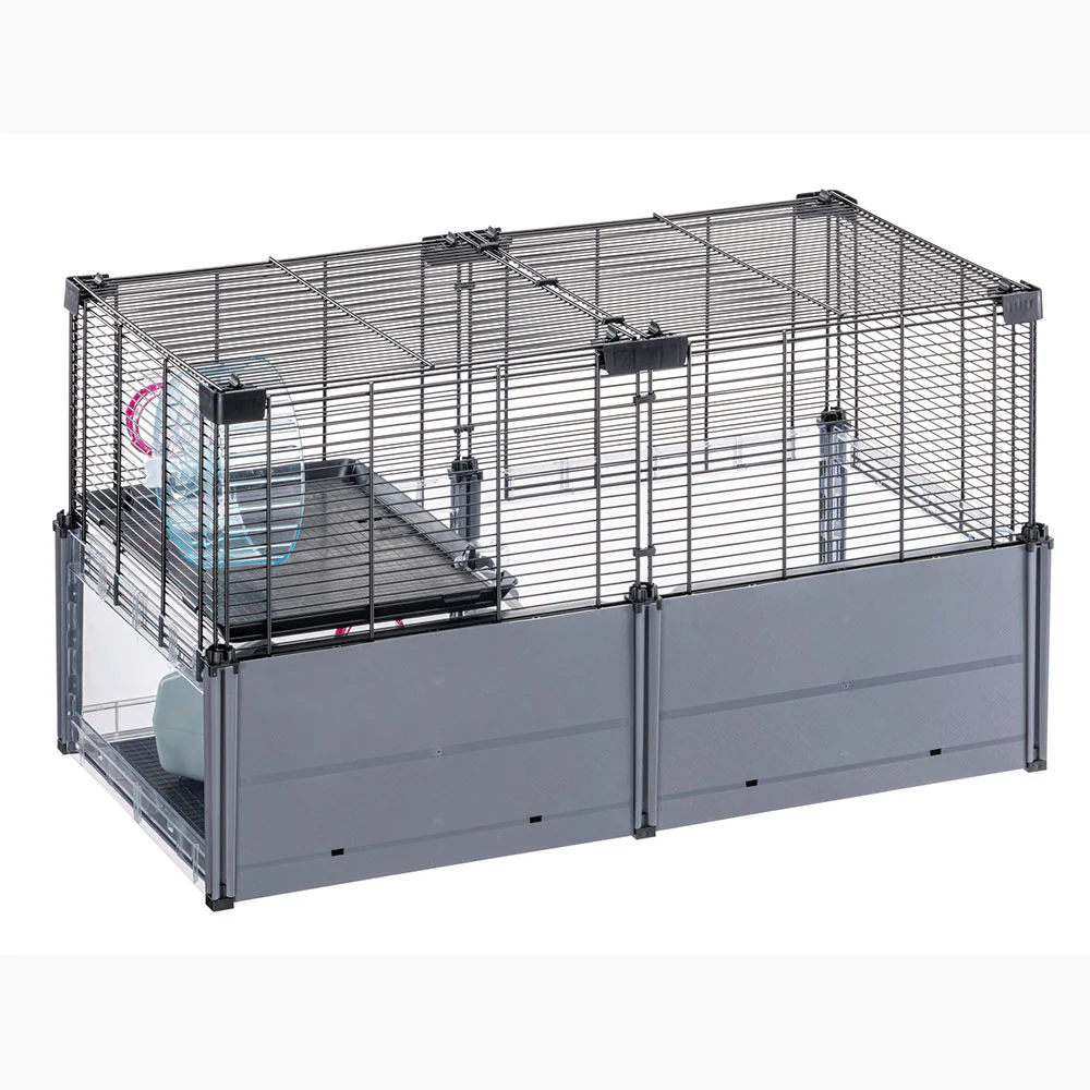 MULTIPLA HAMSTER - Image 7