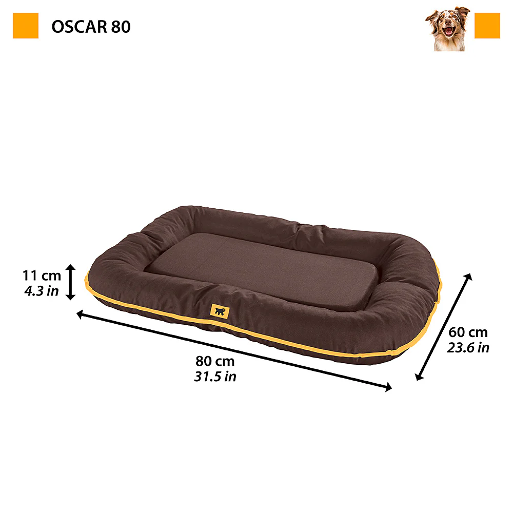 OSCAR - Image 2