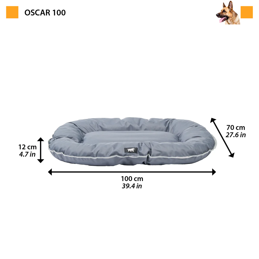 OSCAR - Image 22