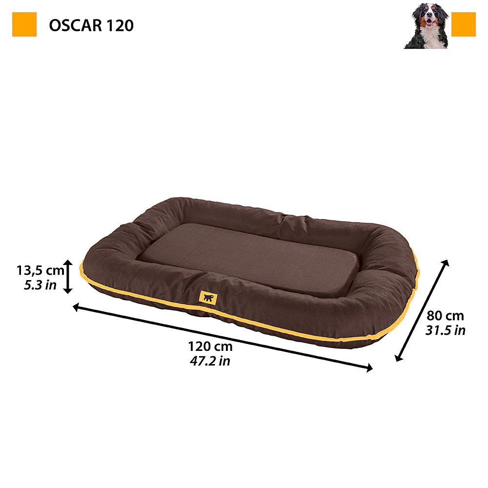 OSCAR - Image 28